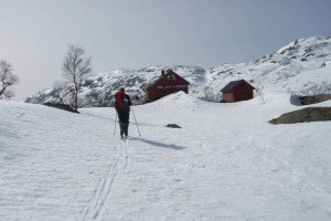 Blåfjellenden Foto: © Reidar Bloch Johnsen