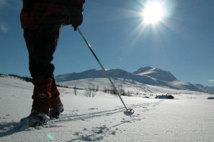 Auf Tour vor der Svarthetta Foto: © Jonny Remmereit