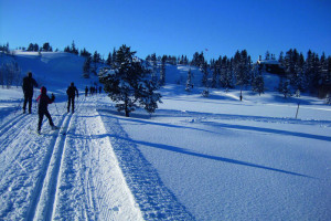 Bei der Elgesethytta Foto: © Karl Morten Dahl